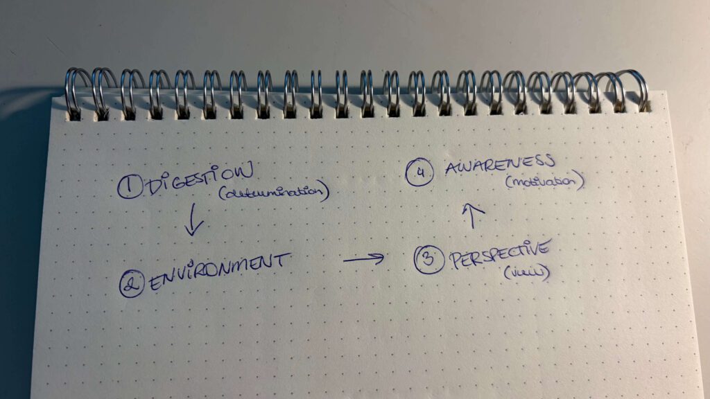 A hand-drawn image showing The Four Transformations in Human Design (Digestion, Environment, Perspective and Awareness).